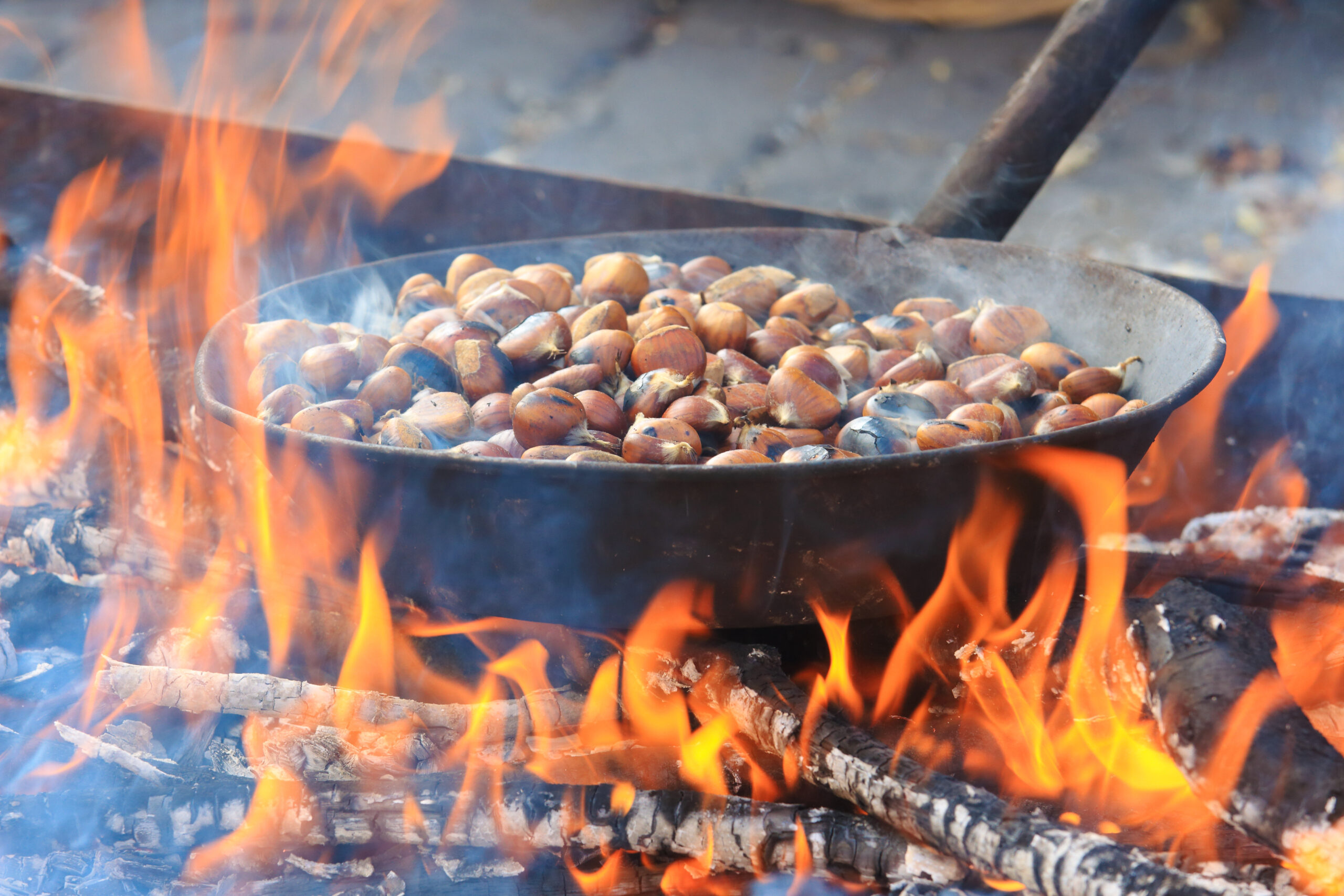 90^ Sagra della Castagna di Cave: Il Garden di Maggi sorprende con un evento unico