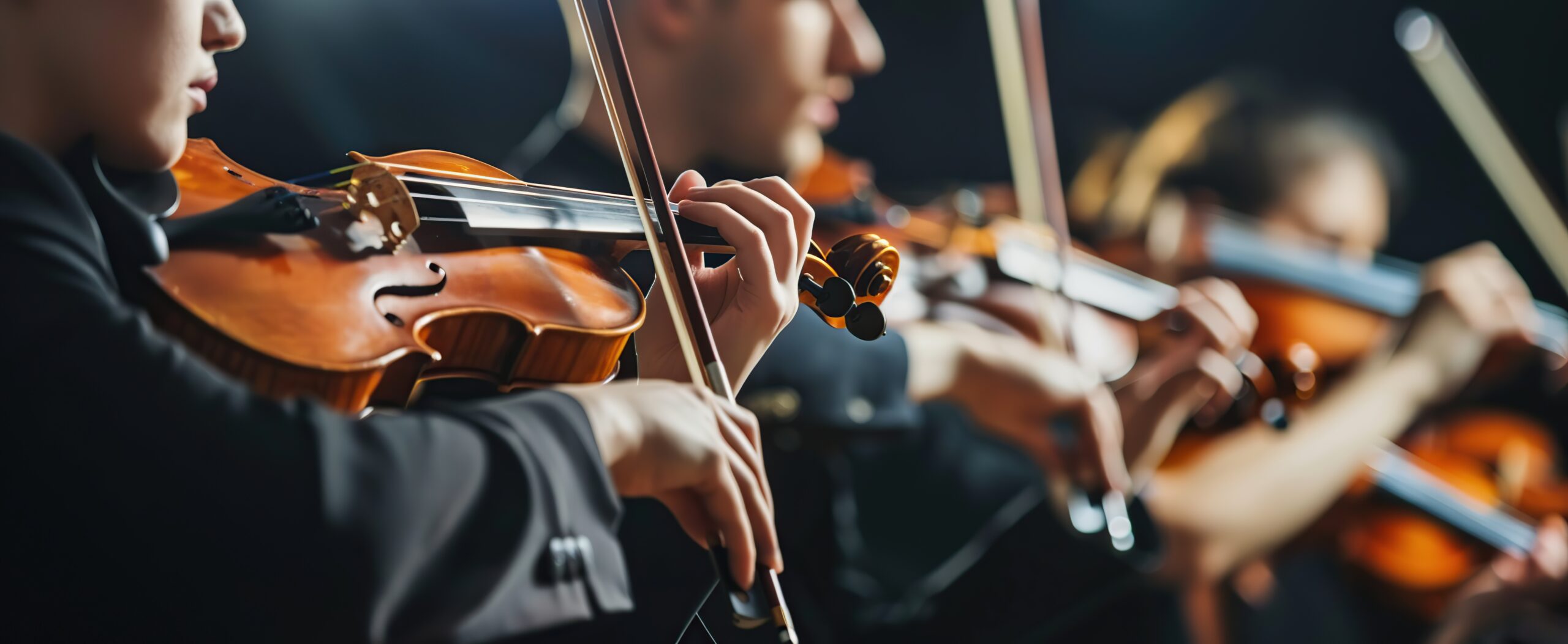 Classical music symphony orchestra string section performing, male violinist playing on foreground, music and teamwork concept