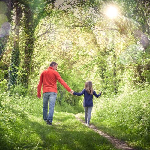 Giornata del Camminare: due escursioni tra Gallicano e Palestrina il 13 ottobre con ALP