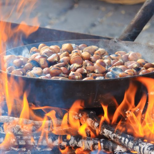 90^ Sagra della Castagna di Cave: Il Garden di Maggi sorprende con un evento unico