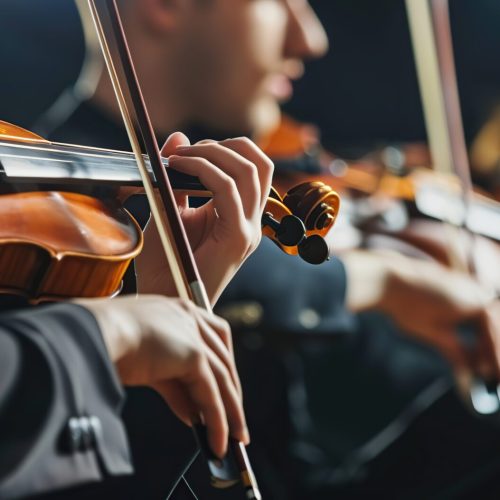 Classical music symphony orchestra string section performing, male violinist playing on foreground, music and teamwork concept