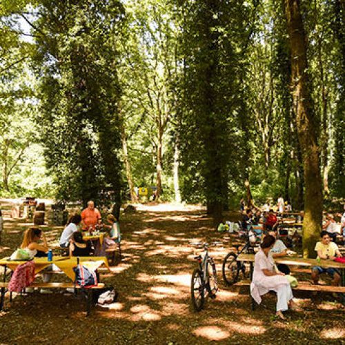 Teatro rurale al bosco di Paliano: un sabato sera di musica e natura